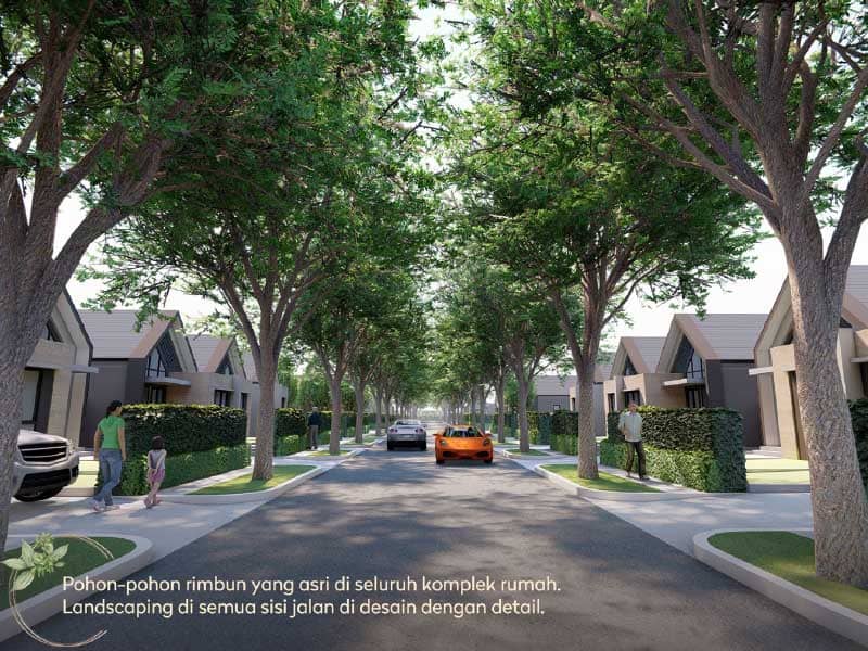 landscaping cluster citrus