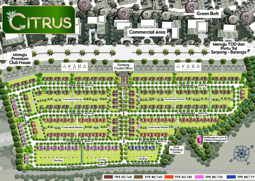 denah cluster citrus
